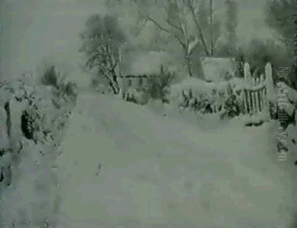 Vinterdag I Udkanten Af Skamstrup - view 1