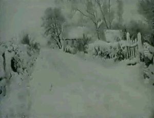 Vinterdag I Udkanten Af Skamstrup