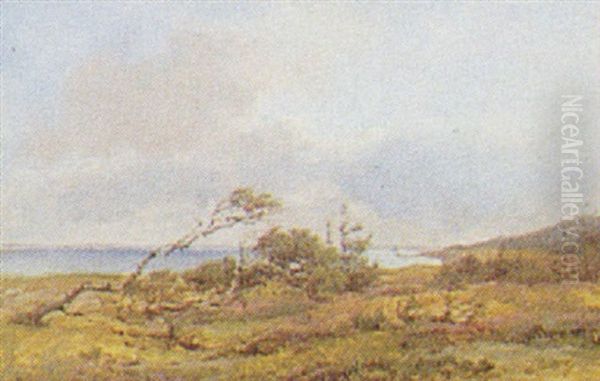 Kystlandskab - view 1