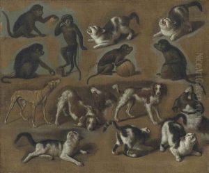 A Study Of Cats, Monkeys And Dogs by Jan Van Pee