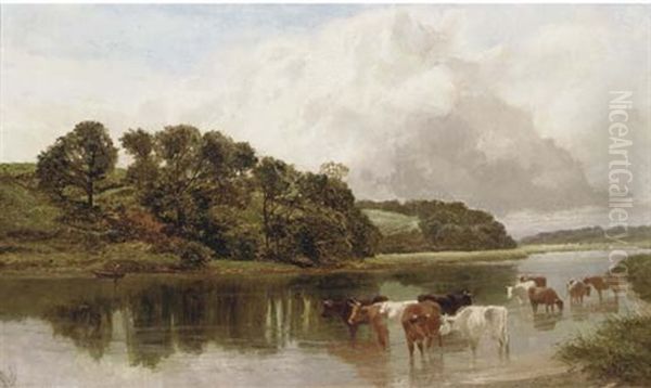 Cattle Watering On A Summer's Day - view 1