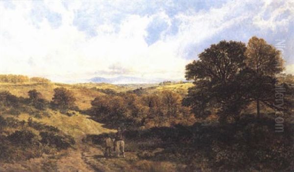 Near Shebbear, North Devon - view 1