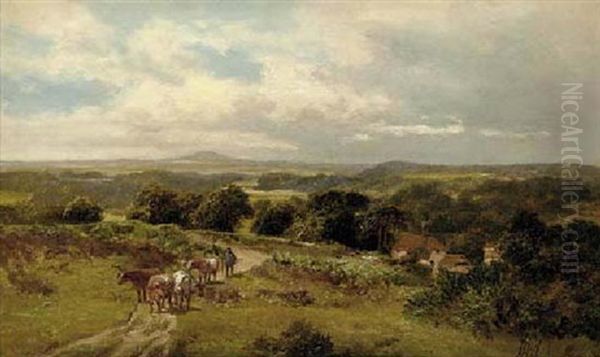 Witley Common, Near Mousehill, Surrey - view 1