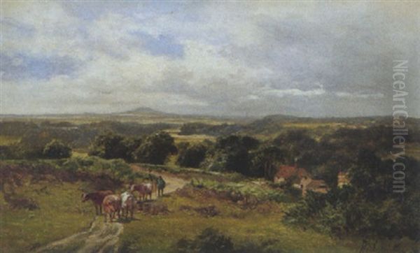 Witley Common, Nr. Mousehill, Surrey - view 1