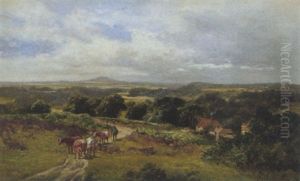Witley Common, Nr. Mousehill, Surrey by James Peel