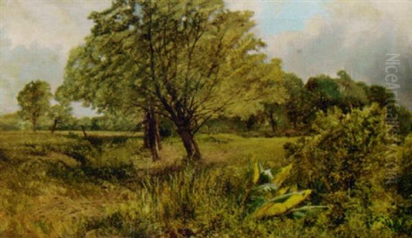 Across The Fields - view 1