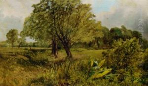 Across The Fields