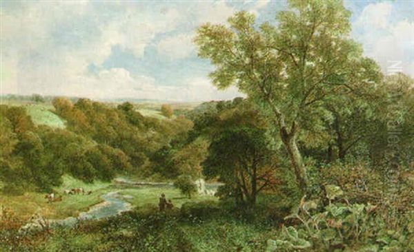 Brignall Banks, Greta River - view 1