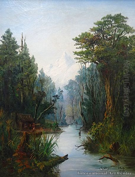 Settlers Cottage Near Mt Aspiring - view 1