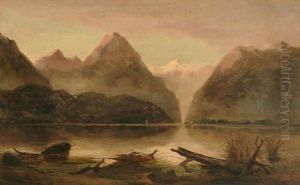 Black Rock, Smith's Sound, New Zealand