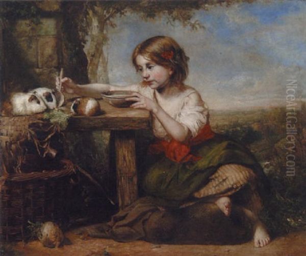 Feeding The Pets - view 1