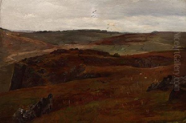 Landschaft - view 1