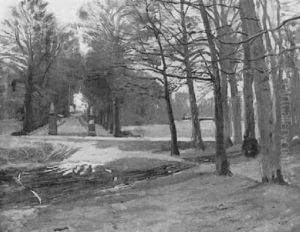Allee Im Schlospark Von Kalkum by Ernst Carl Friedrich te Peerdt