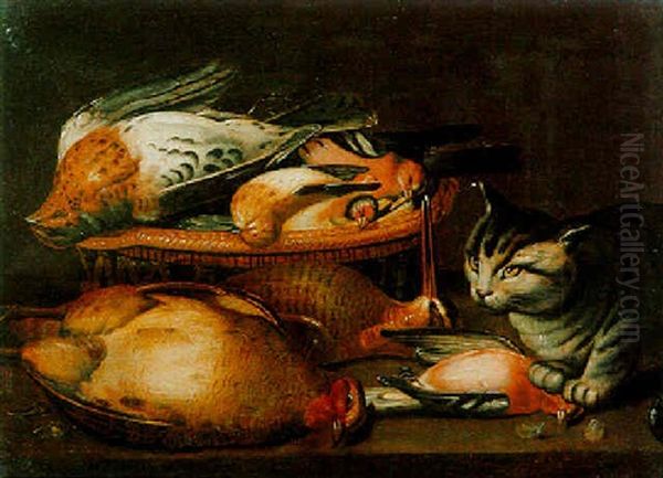 Still Life With A Partridge, Snipe And Various Birds With A Cat - view 1