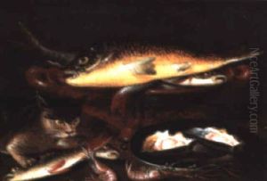 Chat Et Poissons