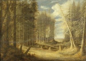 Waldlandschaft Mit Umgesturzten Baumen Und Wanderern