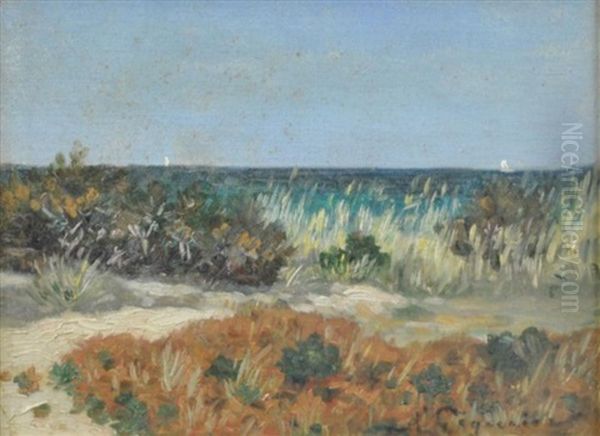 Plants On The Beach - view 1