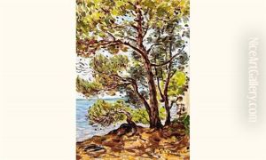 Arbres En Bordure De Mer Arbres En Bordure De Mer
