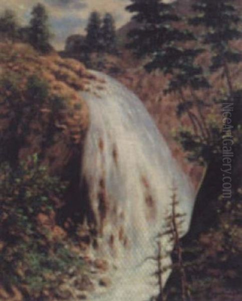 Cascade A Saint-martin Vesubie - view 1