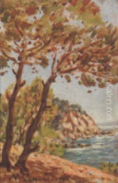 Saint-tropez, La Falaise - view 1