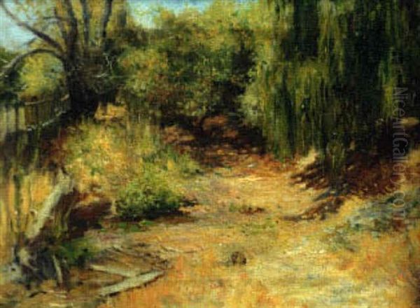 Summer River Landscape, San Rafael - view 1