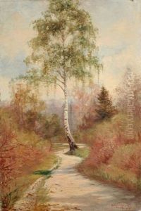 Sonniger Waldweg Mit Birke by Adam Pelcynski