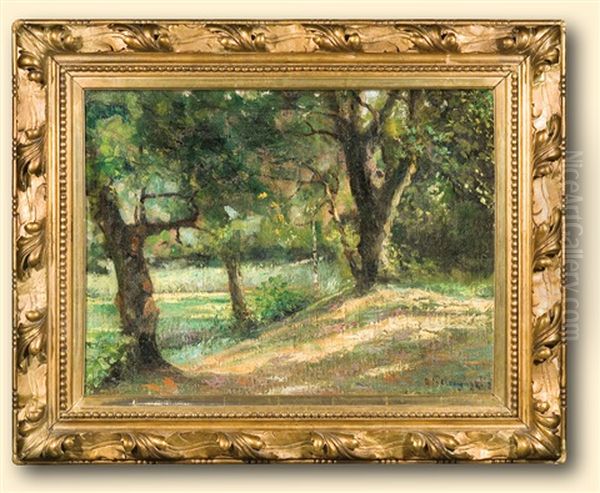In The Park - view 1