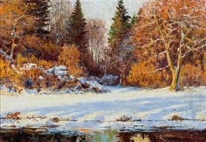 Winterlandschaft Mit Blick Uber Lichtung Auf Wald