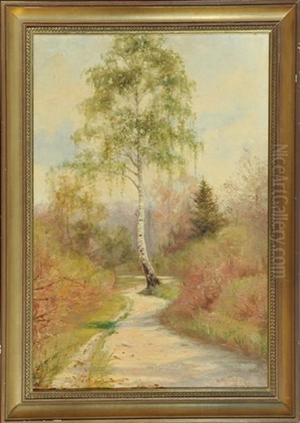 Waldweg Mit Birken Im Fruhling - view 1