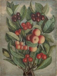 Branches De Cerisiers Et Pommiers by Jean Philibert Pelin