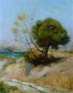Kustenlandschaft An Einem Sommerlichen Nachmittag
