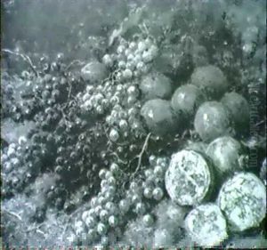 Natura Morta Con Uva E Melograni