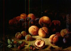 Stilleben Mit Pflaumen, Pfirsichen, Himbeeren Und Erdbeeren
