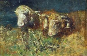 Pecore by Tito Pellicciotti