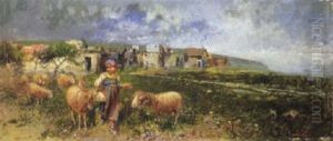 Pastorella E Pecore Al Pascolo by Tito Pellicciotti