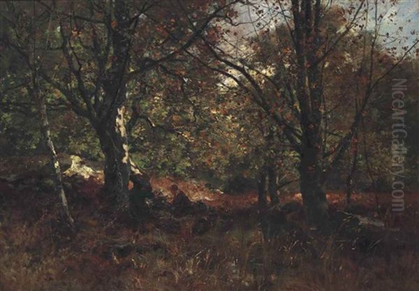 Making A Fire In A Forest Clearing - view 1
