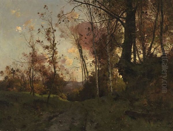 Herbstwald Bei Fontainebleau - view 1