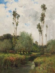 Sommerliche Bachlandschaft Mitweiden Und Pappeln