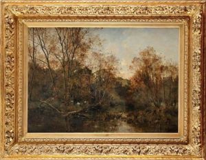 Paysage De Sous Bois