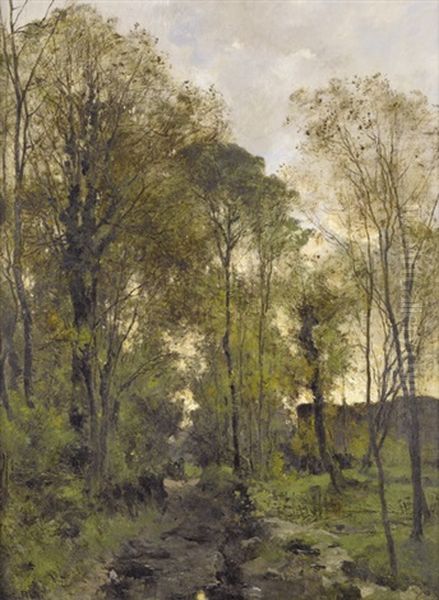 Waldweg In Der Bretagne - view 1