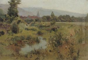 Sommerliche Wiesen- Und Bachlandschaft