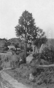 Sentier Pres Du Hameau