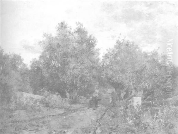 Landschaft Mit Weiden Unter Einem Bewolkten Sommerhimmel - view 1