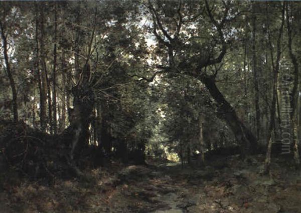 A Thick Forest - view 1