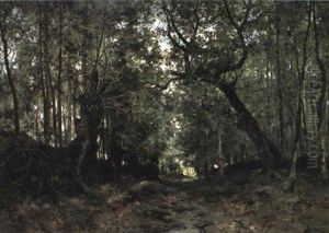 A Thick Forest A Thick Forest