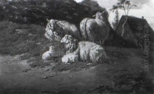 Ruhende Schafe by Jan Jacob Pels