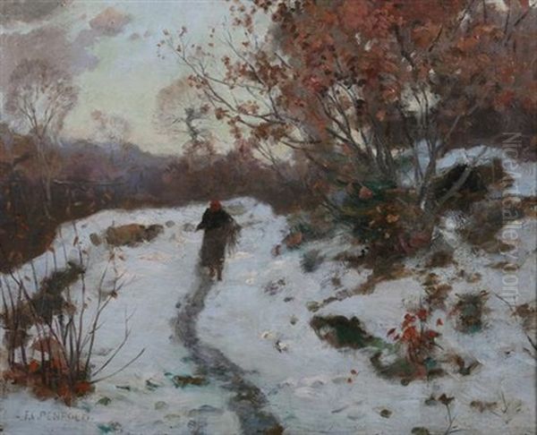 Path In The Snow - view 1