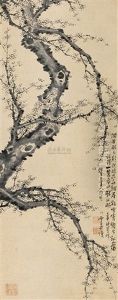 Plum Flower Plum Flower