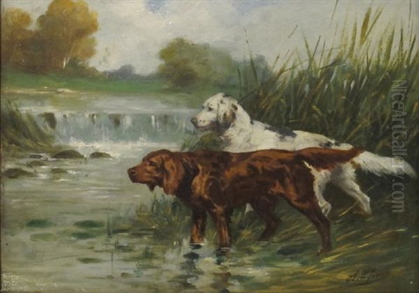 Deux Chiens De Chasse A L'arret - view 1