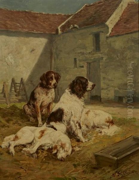 Chiens Au Repos Dans La Cour De Ferme - view 1